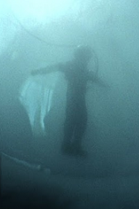 Diving Bell and the Butterfly, The